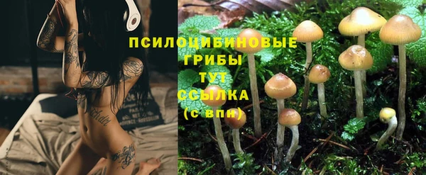 спайс Верхний Тагил