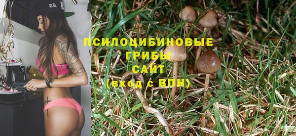соль ск Верея