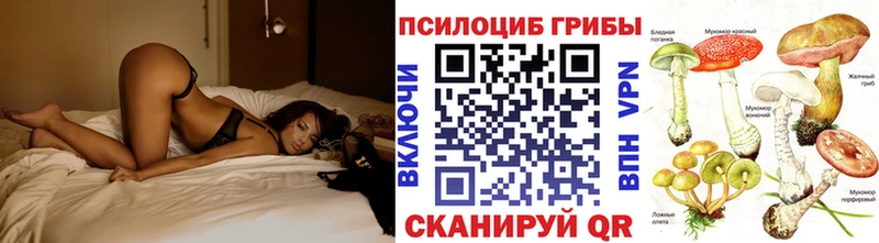 Псилоцибиновые грибы ЛСД  mega ссылка  Голицыно  даркнет сайт 