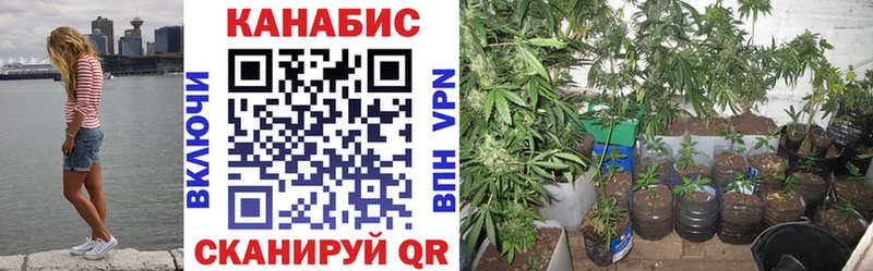 Канабис конопля Голицыно